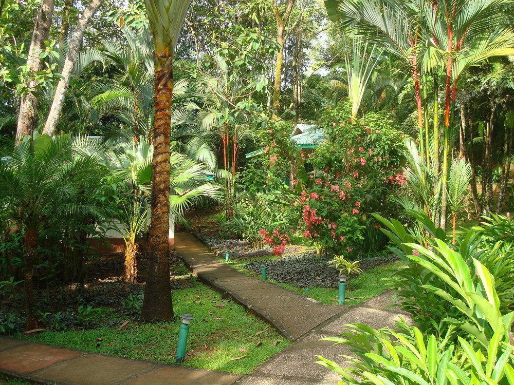 Hotel Villas Gaia Uvita Dış mekan fotoğraf