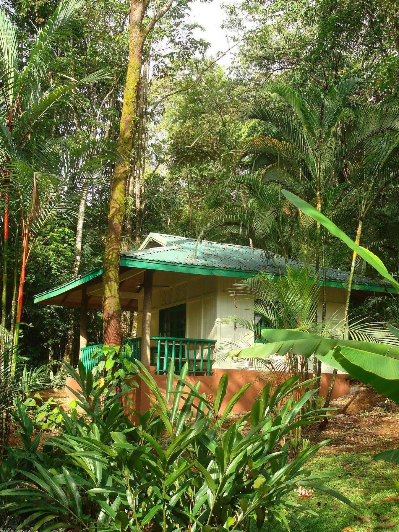 Hotel Villas Gaia Uvita Dış mekan fotoğraf